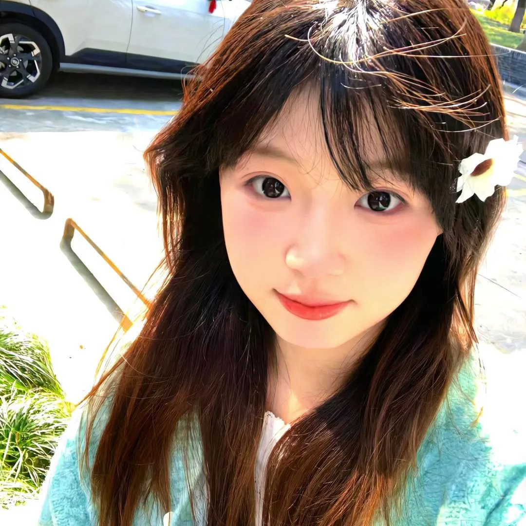 一只小蜘蛛