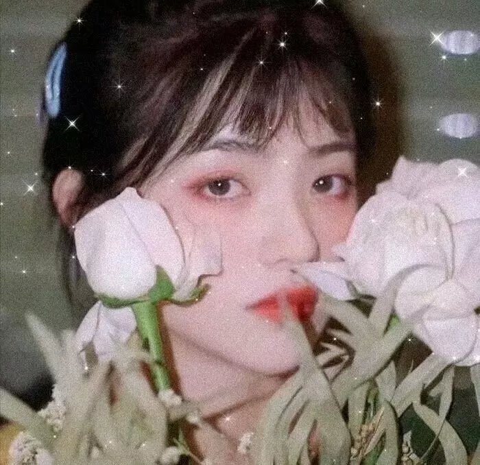 环球影库
